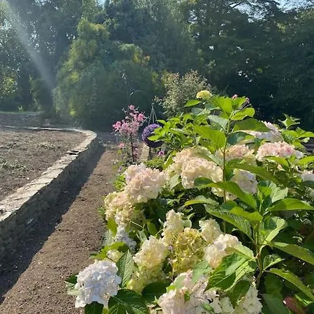 Дом отдыха Victorian